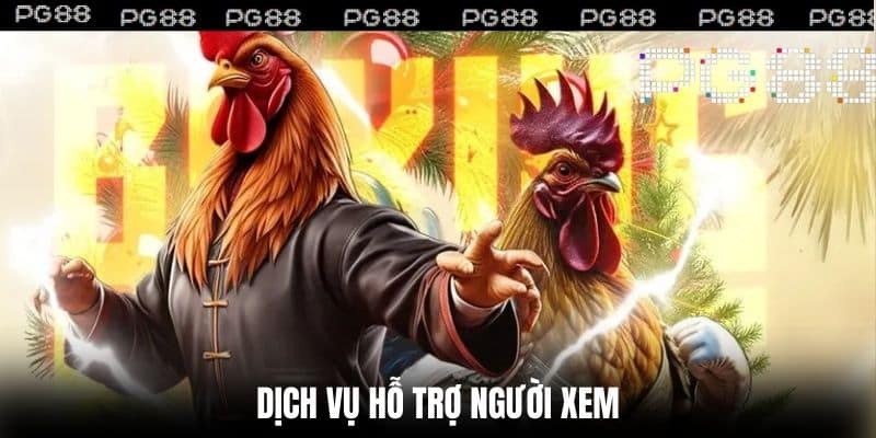 Dịch vụ hỗ trợ người xem