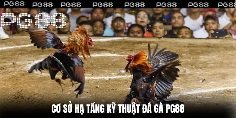 Cơ sở hạ tầng kỹ thuật Đá Gà PG88