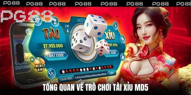 Tổng quan về trò chơi Tài Xỉu MD5