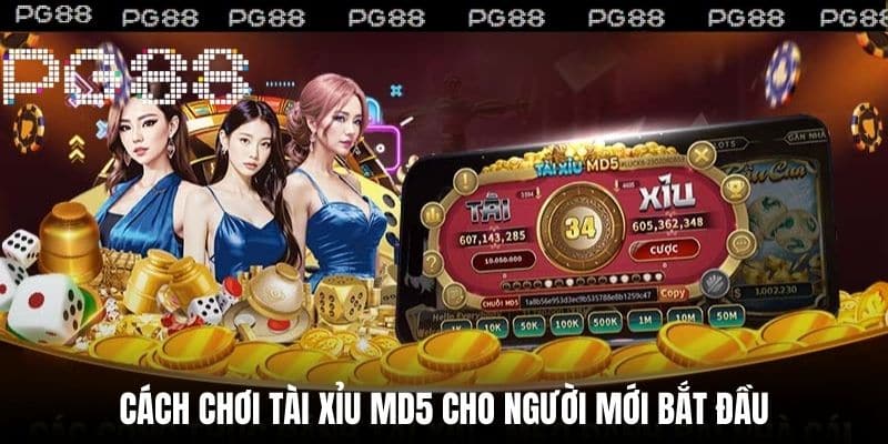 Cách chơi Tài Xỉu MD5 cho người mới bắt đầu